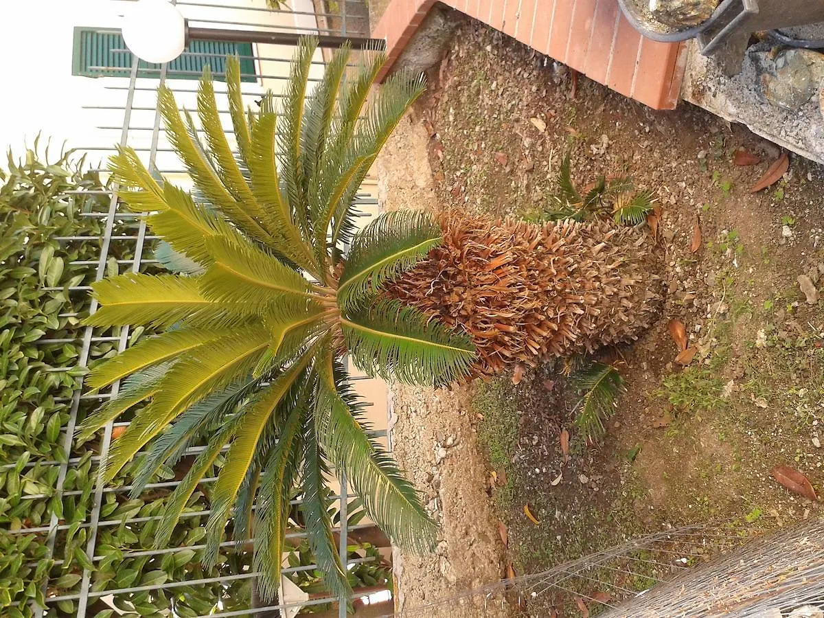 Bed & Breakfast Au Cavettu B&B Varazze